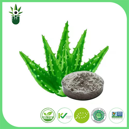 Aloe Vera Extract ၊