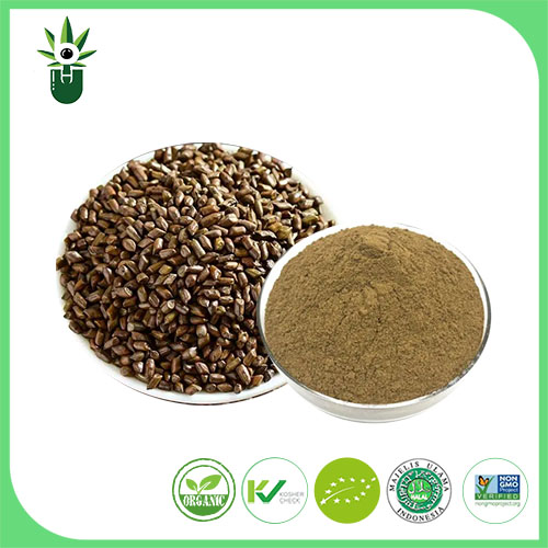 Cassia Seed Extract ၊