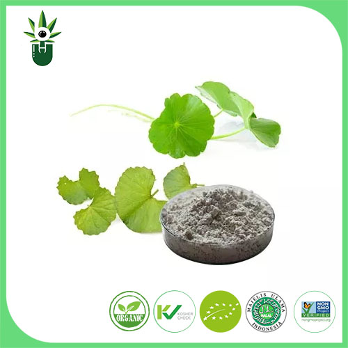 Centella Asiatica Extract ၊