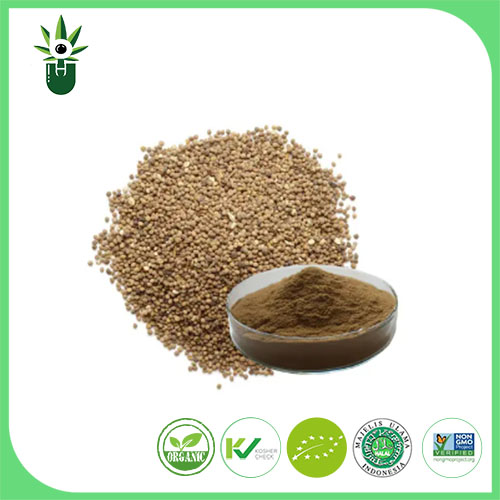 Cuscuta Seed Extract