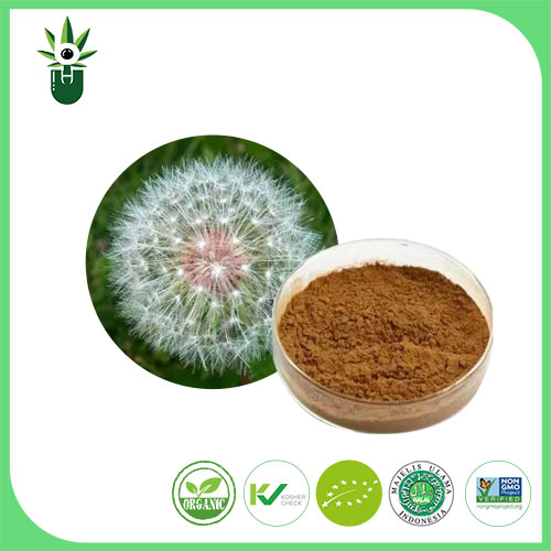 Dandelion Extract