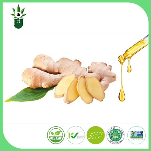 Ginger Extract ၊