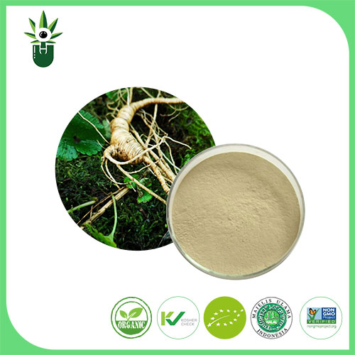 Ginseng Extract