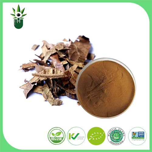 Loquat Leaf Extract