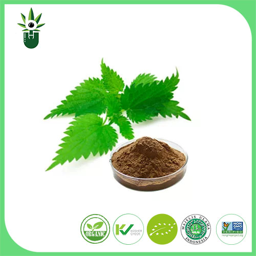 Nettle Extract