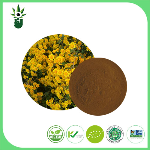 Wild Chrysanthemum Extract