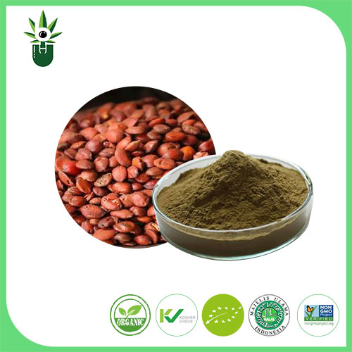 Ziziphus Seed Extract